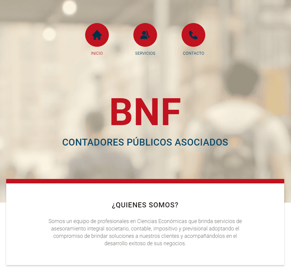 BNF Contadores project preview